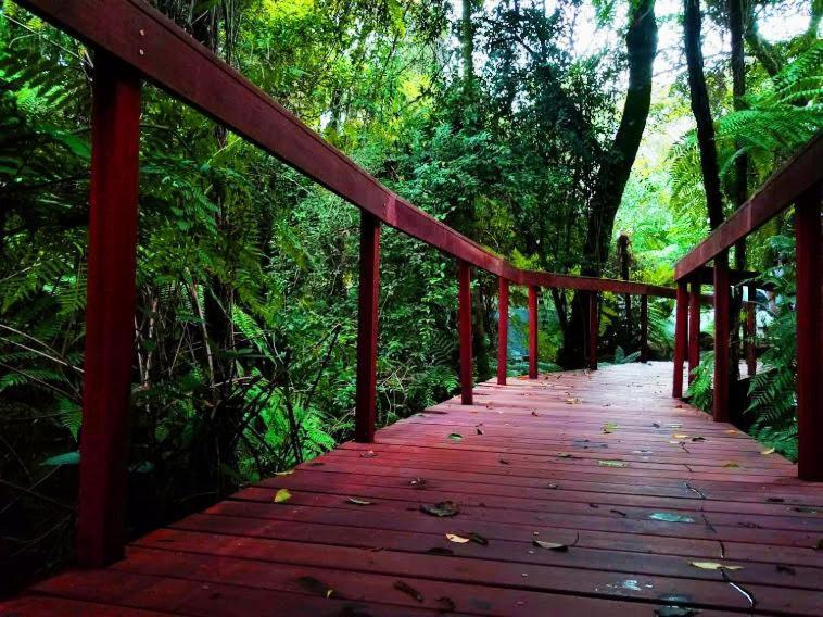Deck1920 - Bangalôs Área Rural - Cascavel Cascavel  Bagian luar foto
